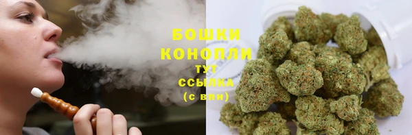 соль ск Абаза